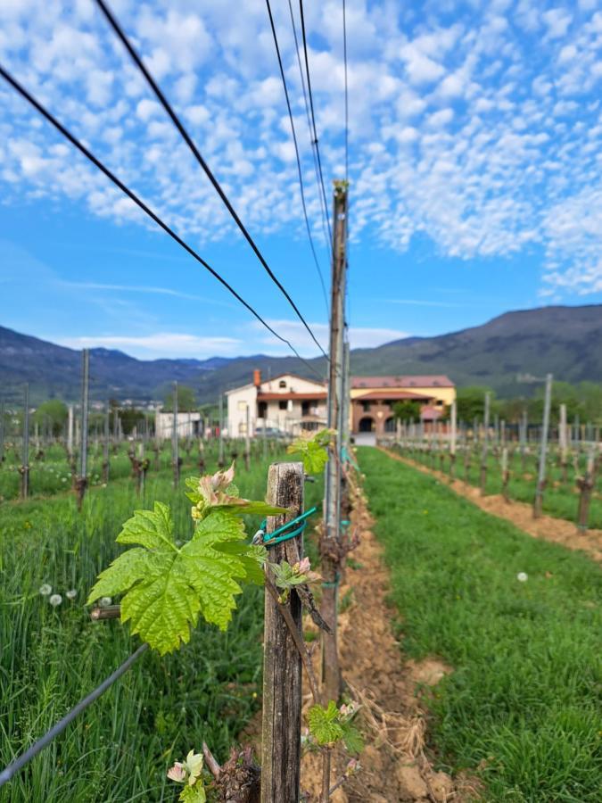 Posestvo Rouna - Winery And Apartments Vipava Luaran gambar