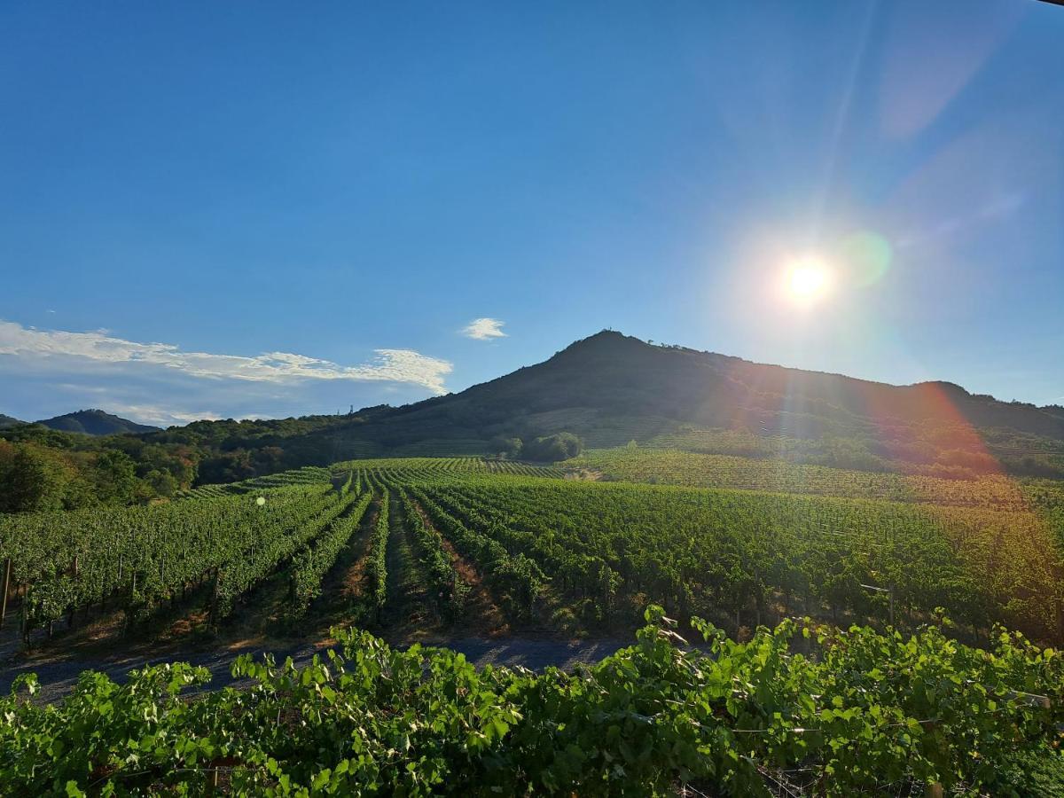 Posestvo Rouna - Winery And Apartments Vipava Luaran gambar