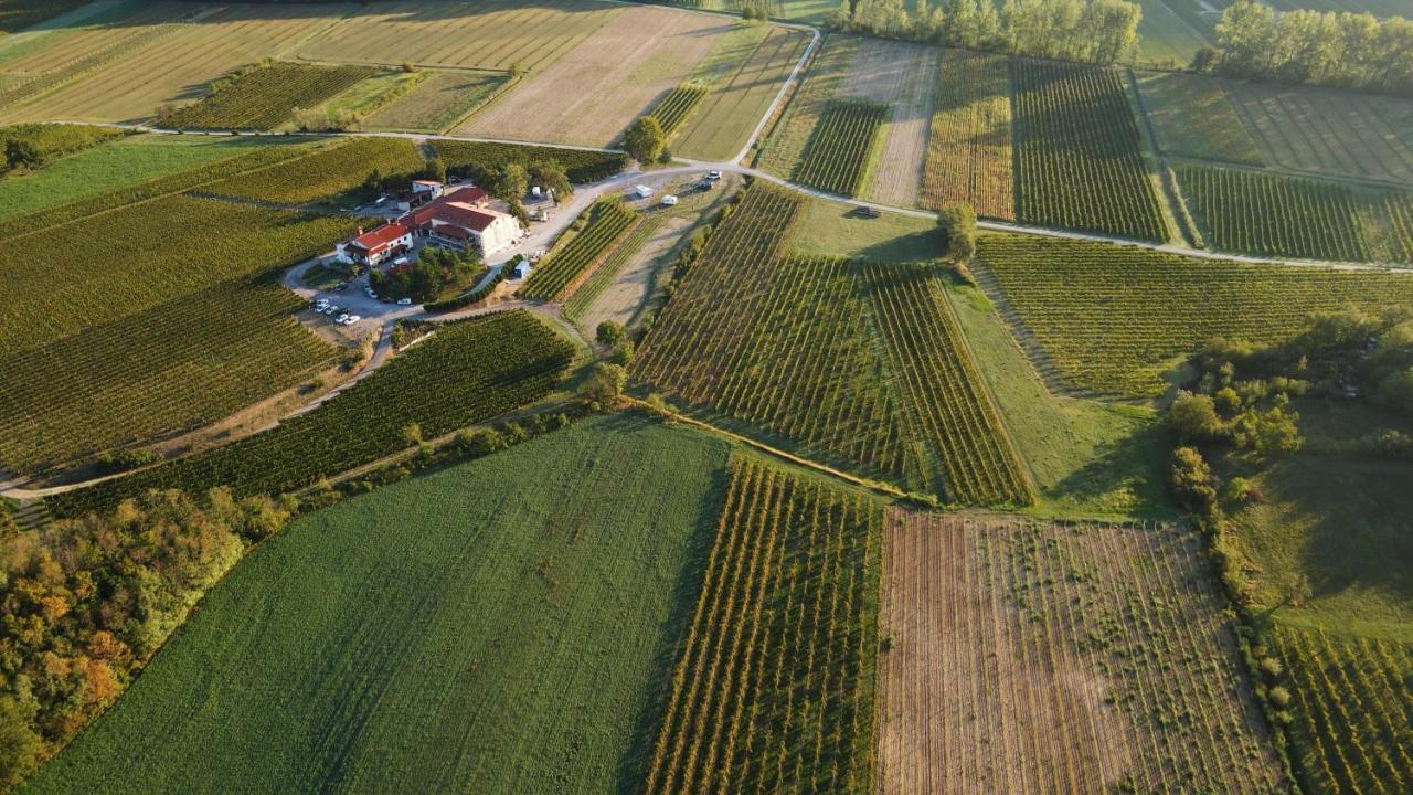 Posestvo Rouna - Winery And Apartments Vipava Luaran gambar